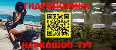 крисы Тара