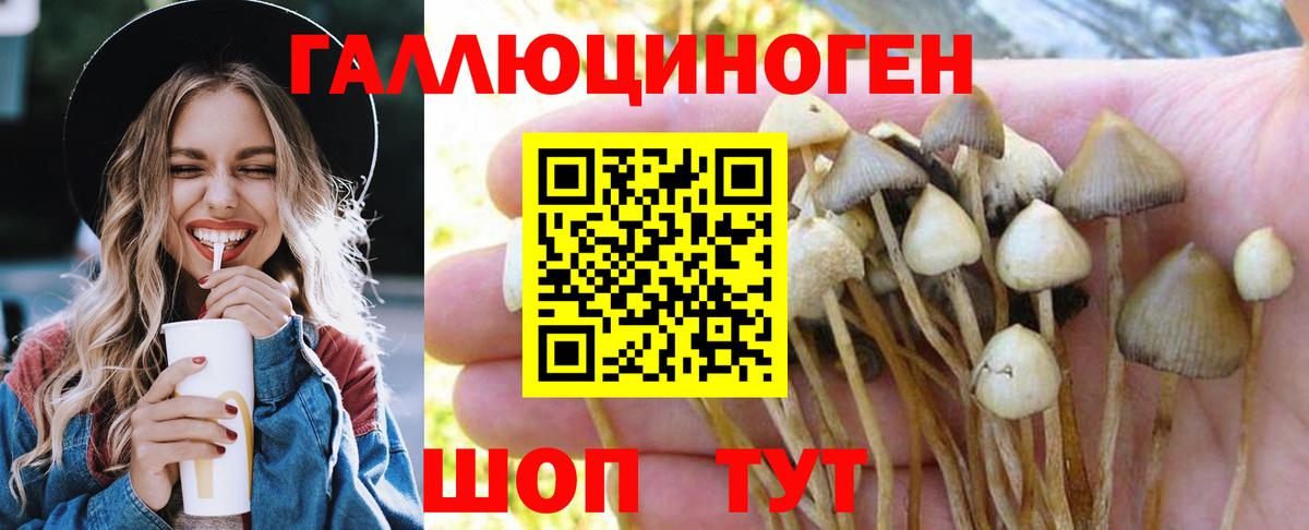 Норильск  Псилоцибиновые грибы мицелий  Вход с VPN 